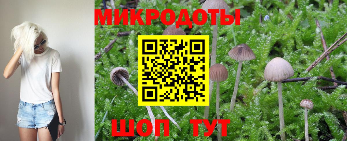 Туймазы  Галлюциногенные грибы GOLDEN TEACHER  Псилоцибиновые грибы Psilocybe  Вход с VPN 