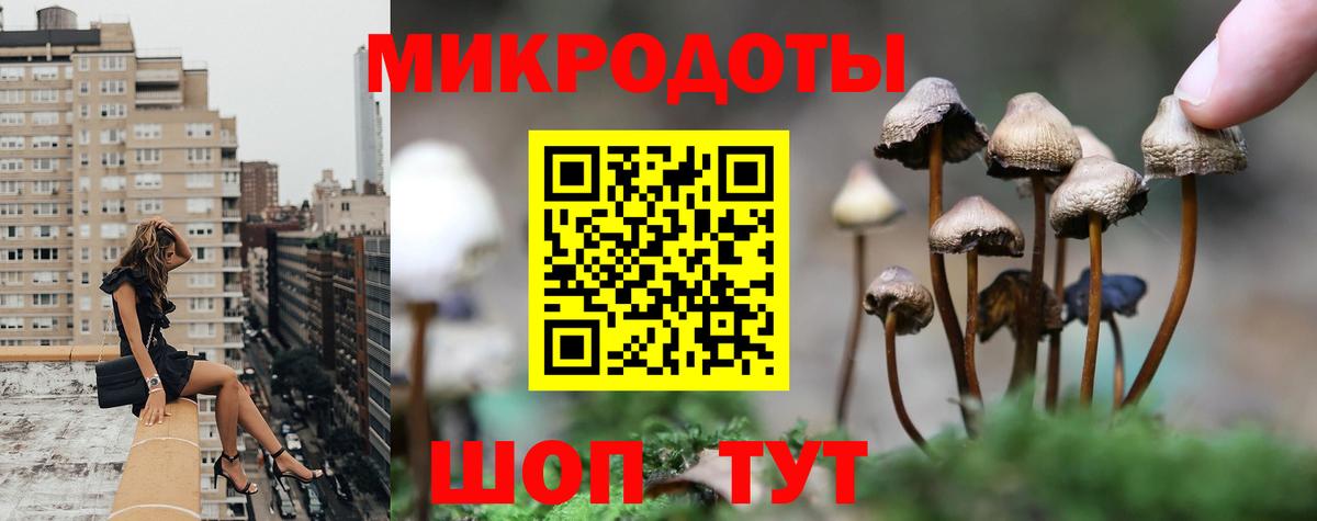 Псилоцибиновые грибы Psilocybe Туймазы
